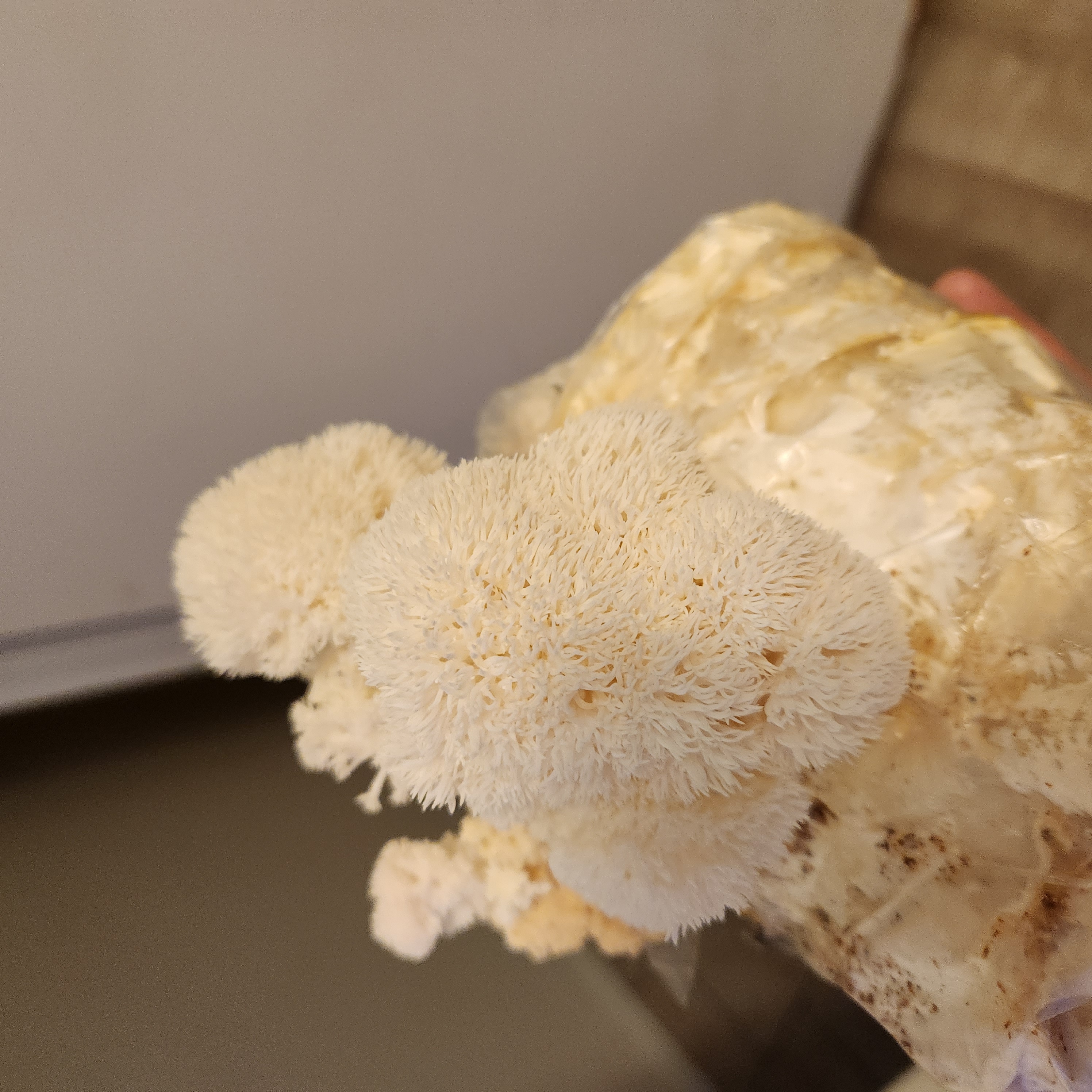 20231109_075018(1)